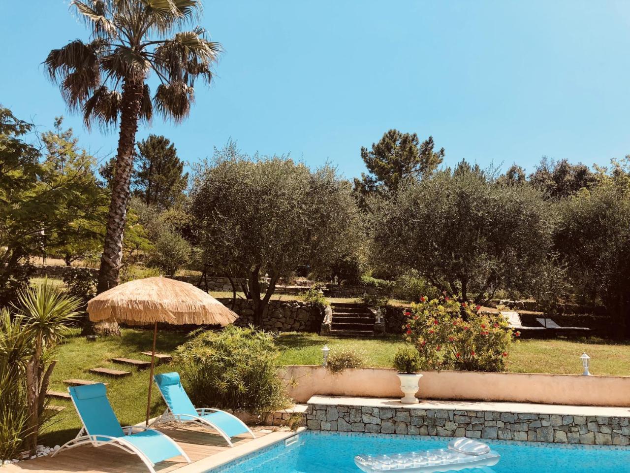 Maison de vacances Villa Cardabella Le Tignet Esterno foto